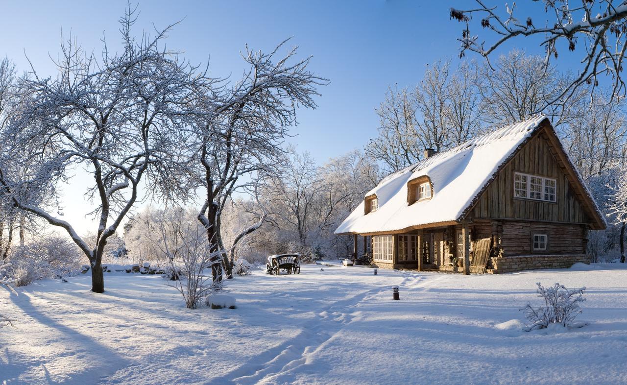 Paedaste Manor Экстерьер фото